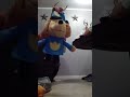 dog am