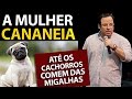 Pregação a Mulher Cananeia | Mateus 15 | Felipe Seabra