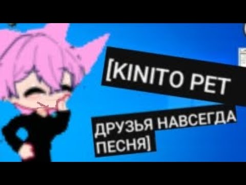 KINITO PET YouTube kinito-pet-youtube