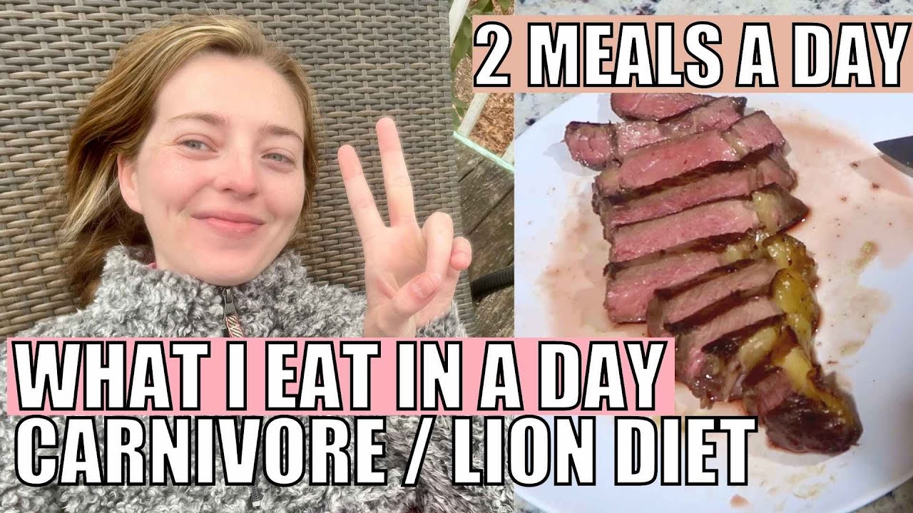 WHAT I EAT IN A DAY on the Lion Diet // Low Histamine CARNIVORE DIET