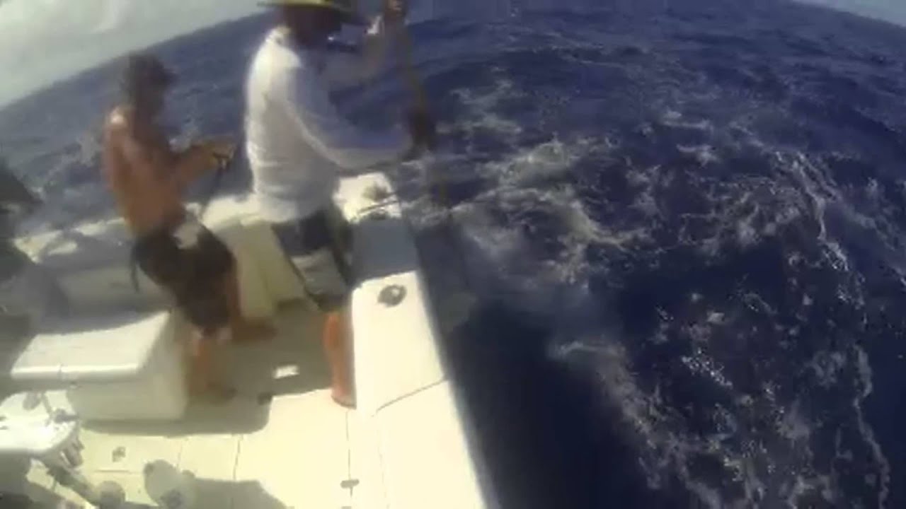 fbc fishing with bluewater safaris St.Thomas USVI YouTube