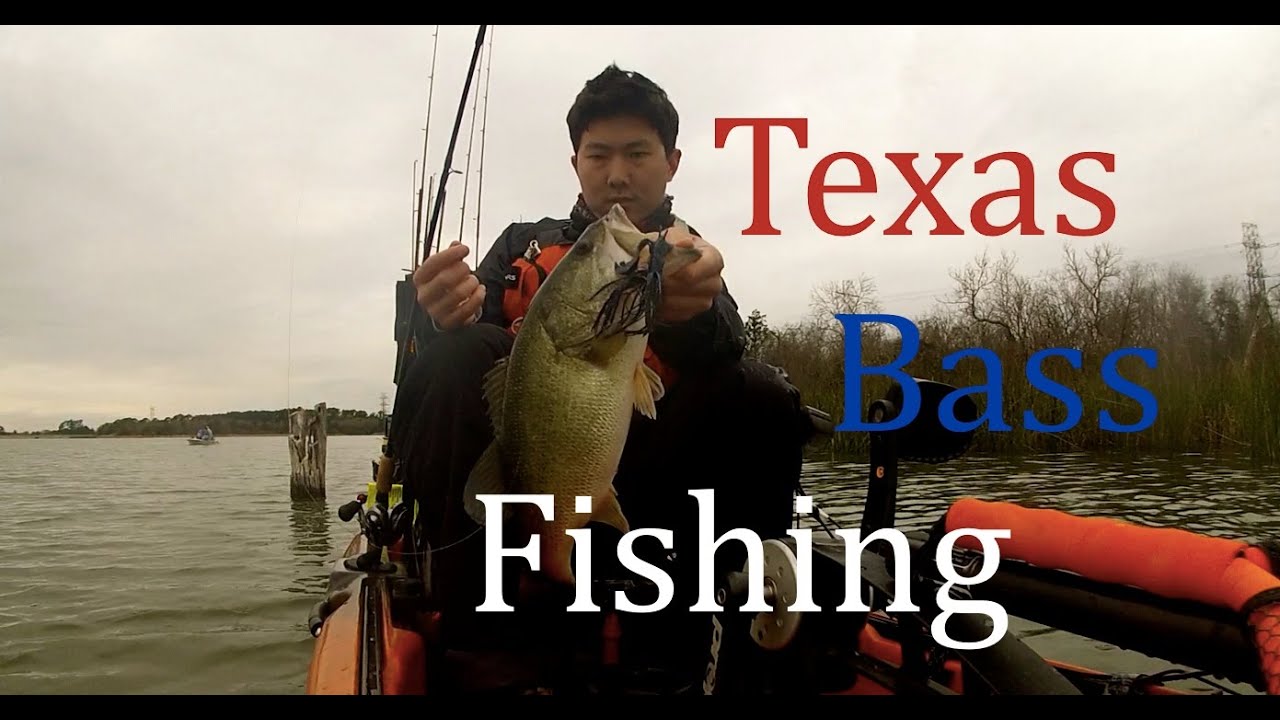 Texas Bass fishing highlights YouTube