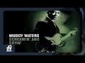 Muddy Waters Mean Red Spider mp3