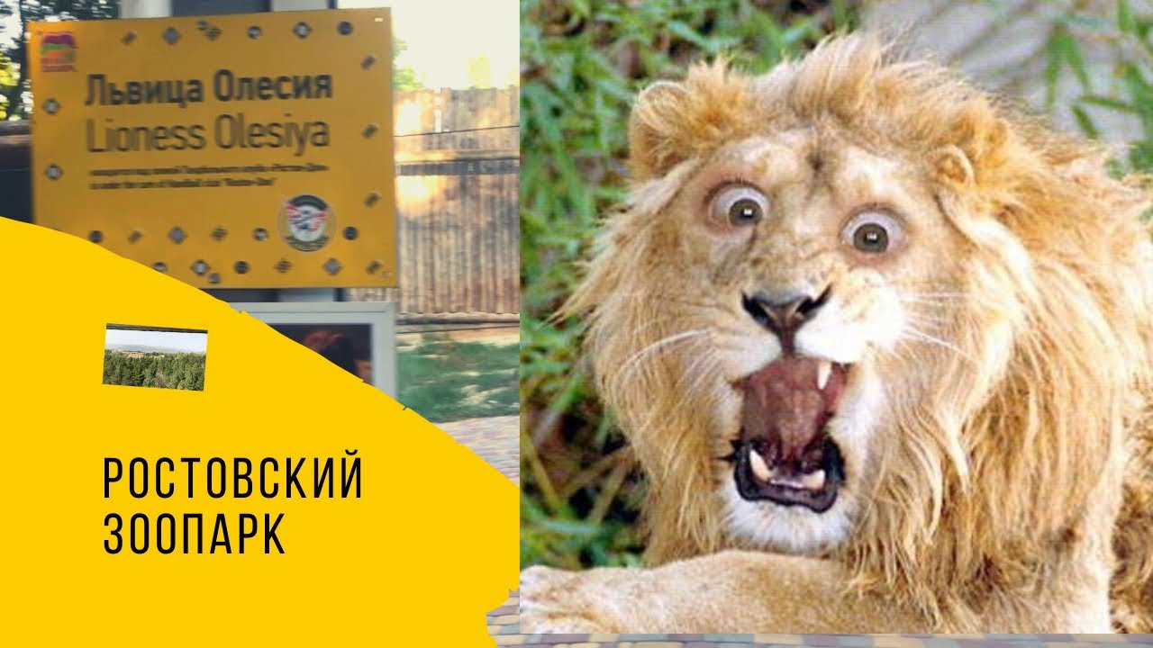 секс ростова на дону вк