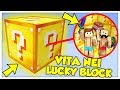 SI PUÒ SOPRAVVIVERE IN UN CUBO DI LUCKY BLOCK? - Minecraft ITA