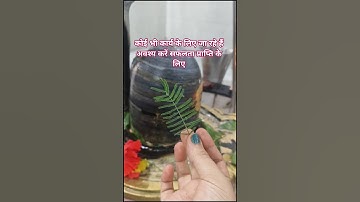 शमी की पत्ती का विशेष उपाय सफलता प्राप्ति के लिए#upay#pradeepmishra#mahadev #bhakti