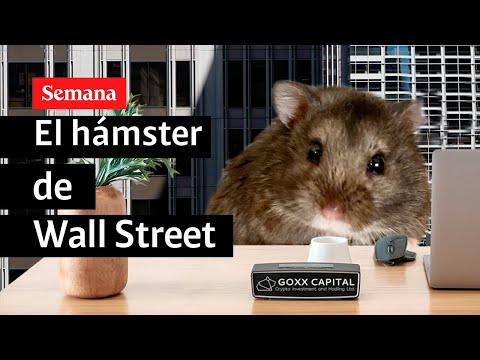 El hámster de Wall Street | Mónica Jaramillo en Semana