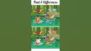 Spot 3 differences #107