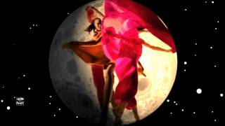 Richard Clayderman - Claro de luna