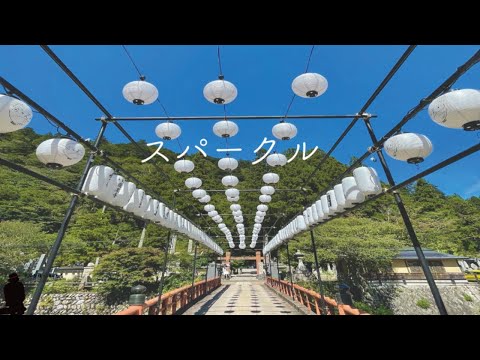 【癒し】スパークル ヴァイオリニスト竜馬cover