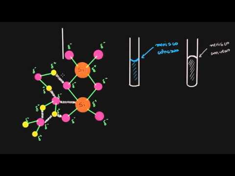 Vídeo: O que é menisco côncavo e convexo?