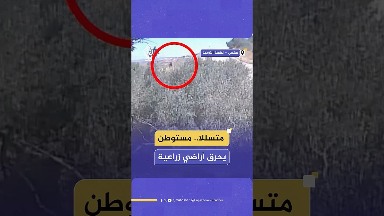 لحظة تسلل مستوطن ورميه مواد حارقة على الأراضي الزراعية في بلدة سنجل شمال #رام_الله في الضفة الغربية