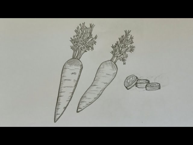 Carrot drawing and color || How to draw carrot step bye step | Carrot  drawing, Easy drawings for kids, Vegetable drawing