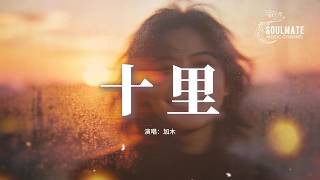 加木 - 十里『她在我眼神里得到了答案，約定終身 流亡到命運夠不到的涯畔，剪不斷的火燭線 惹不完的麻煩，等不到的落葉天 見不到的花瓣。』【動態歌詞/Pinyin Lyrics】