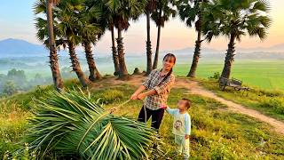 Download lagu Build a bamboo house in the forest.,The single mother is building a new life.