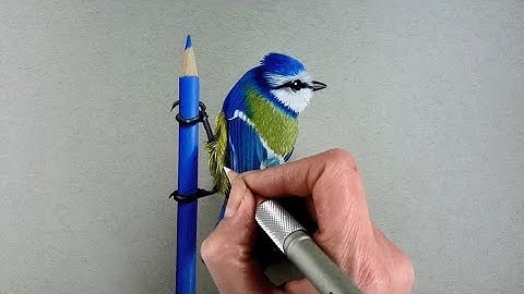 Drawing a Bird on a Colored Pencil - Time-Lapse | Jasmina Susak