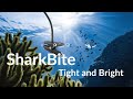 Dimmable sharkbite clip on light  lepower
