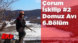 Çorum - İskilip Domuz Avı 2 Ekip İşi 6.Bölüm Yaban Tv Wild Boar Hunting