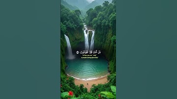 تلاوة خاشعة بصوت ياسر الدوسري #راحة_نفسية #المصحف #قران_كريم #قرآن #لايك #اكسبلور #explore