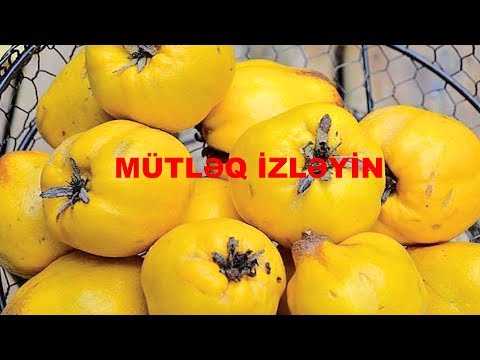 Video: Hanımeli Mürəbbəsi Necə Hazırlanır