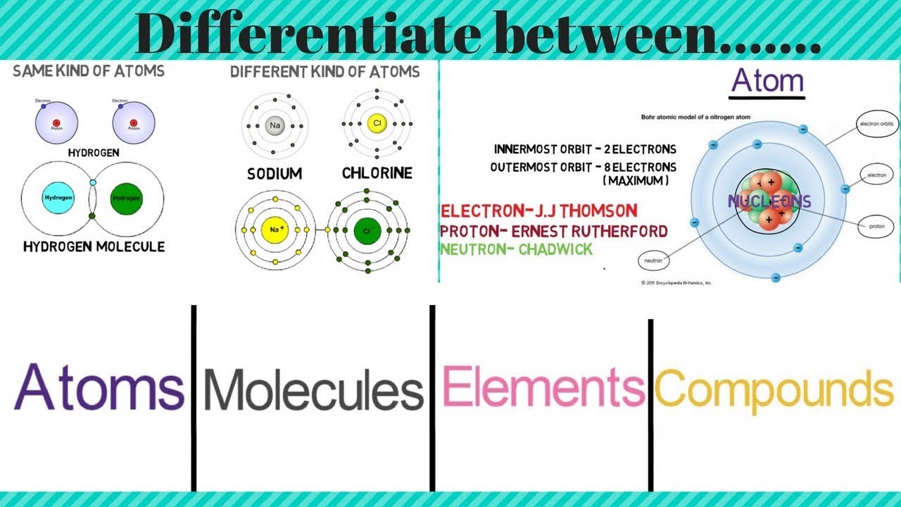 Difference Between Atoms Molecules Elements Compounds Youtube