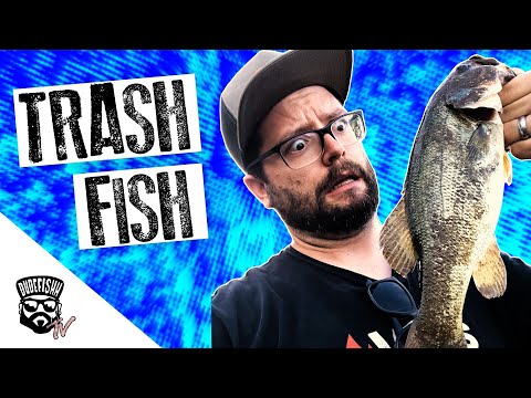I Caught Bass On A Lure I Found In Lake Bed Trash Lake Balboa