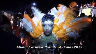 MIAMI  CARIVAL FREAKS MAS BAND 2015