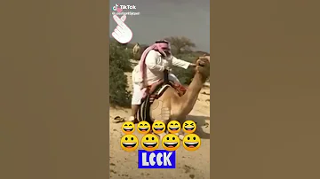 الله يكون في عون الجمل شال ياماااااا 