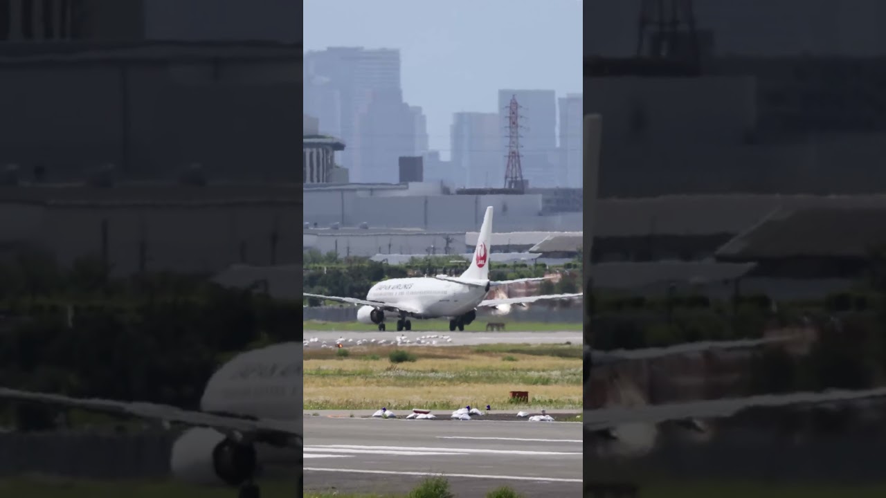 JAL,B737・普段とは逆方向から離陸(伊丹空港・2026/5/24) #逆ラン #airport #飛行機