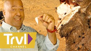 Why Does Rotten Shark Meat Taste Sweet?! | Bizarre Foods with Andrew Zimmern | Travel Channel