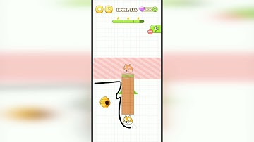 Save The Pets Level 336