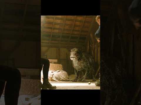Predator Dog’s Redemption | Saves Woman With a Bomb