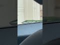 Lizard Crashes My Car Ride! 🦎