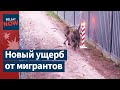 ❗Нелегальные мигранты подожгли польский знак на границе с Беларусью