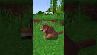 Minecraft Added NEW Dog Variants To The Game!