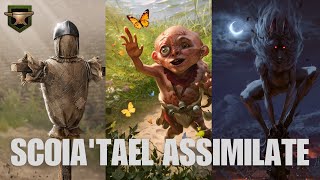 SPELLA'TAEL MIXED WITH ALL SORTS OF CREATE | Meme Scoia'tael Deck | Gwent