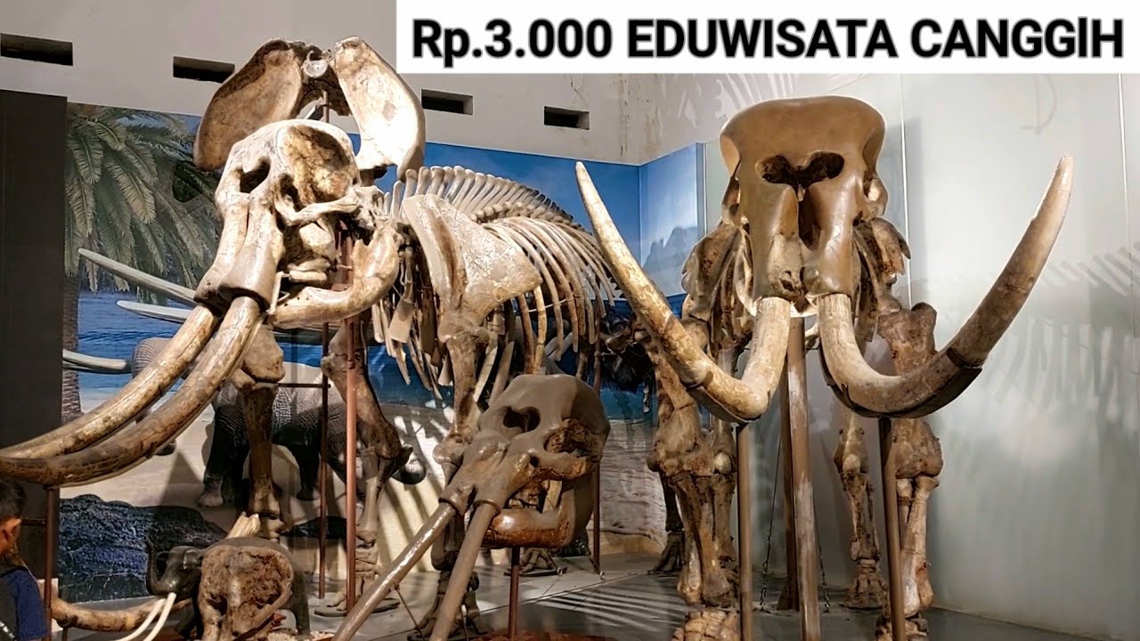 MUSIUM GEOLOGI BANDUNG HARGA TIKET 