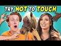 Try Not To Touch Challenge (ft. a Mini Horse!)