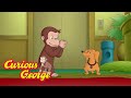 Curious George 🐵  Distracted Hundley 🐵  Kids Cartoon 🐵  Kids Movies 🐵 Videos for Kids