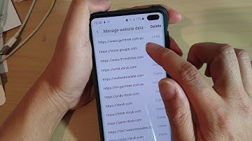 Galaxy S10 / S10+: How to Delete Website Store Data
