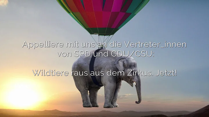 Unser Appell für ein Wildtierverbot im Zirkus