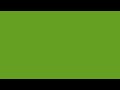 Rich Lime Green Screen 10 Hours 4K No Sound | HEX #64931F Solid Colour Background
