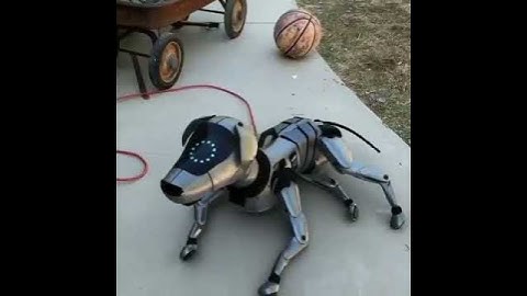 The Robo Dog#shorts