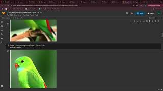 Part1 Training Neural Networks with Keras