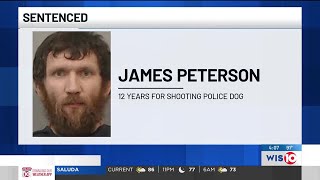 Man who killed SC K-9 sentenced to federal prison on weapons charge