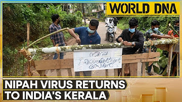 Two Nipah Virus Cases Detected In India; Three Districts On Alert | WION DNA | World News
