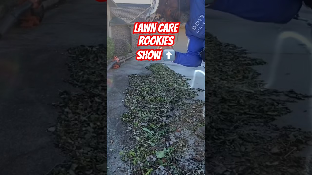 LAWN CARE ROOKIES SHOW UP! 