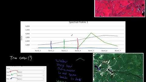 Band Assignment vs Spectral Profiles