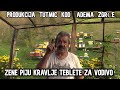 ZENE PIJU KRAVLJE  TABLETE ZA VODIVO  (BY  ADEM  ZGRCO)