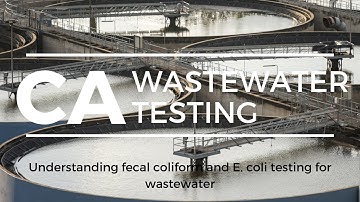 California: Understanding fecal coliforms and E  coli wastewater testing
